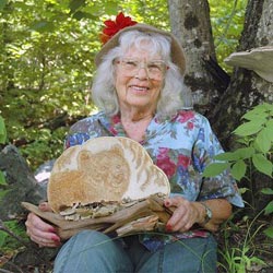 Woods & Water; Nellie Garnet Staves with fungi