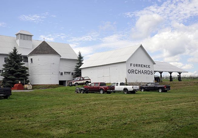 Forrence Orchards, Peru, NY, 2009.
